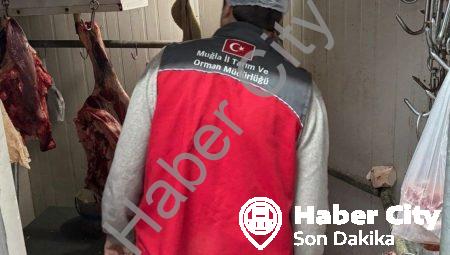 Menteşe’de Gıda Güvenliği İçin Sıkı Takip: Kasaplar Mercek Altında