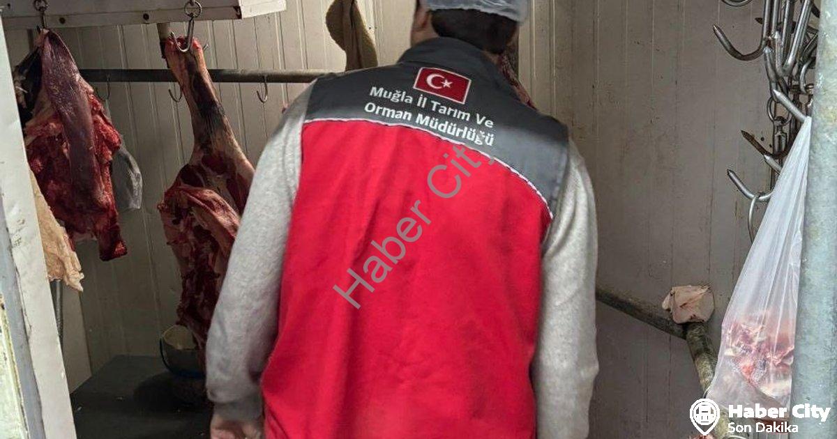 "Menteşe'de Gıda Güvenliği İçin Sıkı Takip: Kasaplar Mercek Altında" başlıklı haber için fotorealist
