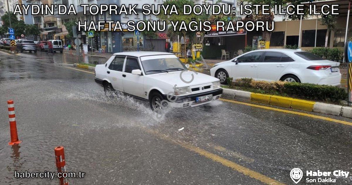 "Aydın'da Toprak Suya Doydu: İşte İlçe İlçe Hafta Sonu Yağış Raporu" başlıklı haber için fotorealist