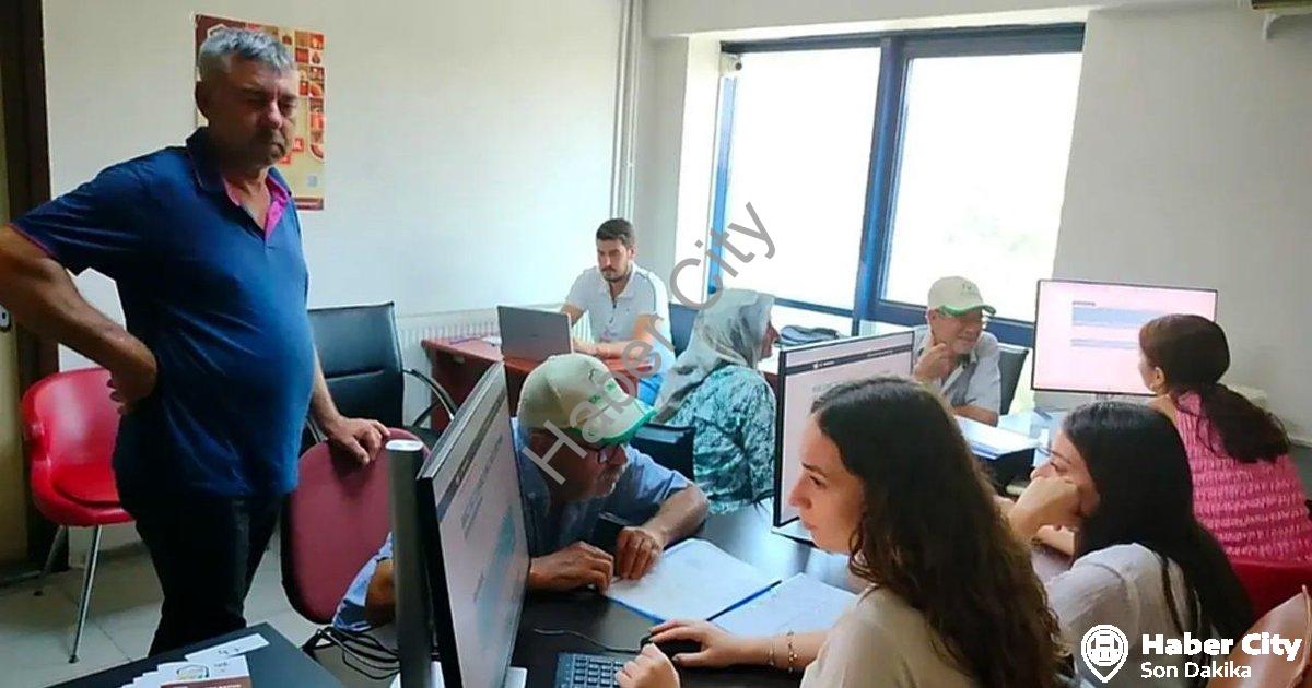 "Söke Ovası'nda Tarım Sayımında Büyük Başarı: Yüzde 90 Tamamlandı" başlıklı haber için fotorealistik