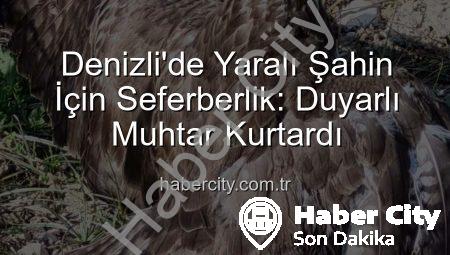 Denizli’de Yaralı Şahin İçin Seferberlik: Duyarlı Muhtar Kurtardı