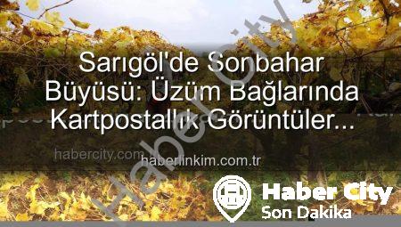 Sarıgöl’de Sonbaharın Büyüsü: Üzüm Bağlarında Kartpostallık Manzaralar Eşliğinde Budama İşleri Başladı