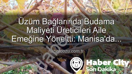 Budama Maliyeti Üreticiyi Ailece Üzüm Bağına İndirdi: Sarıgöl’de Yeni Dönem