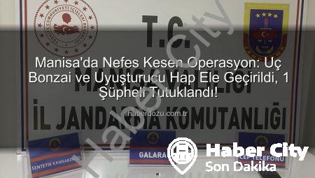 Manisa’da Uç Bonzai Operasyonu: 168 İçimlik Maddeyle Yakalanan Şüpheli Tutuklandı