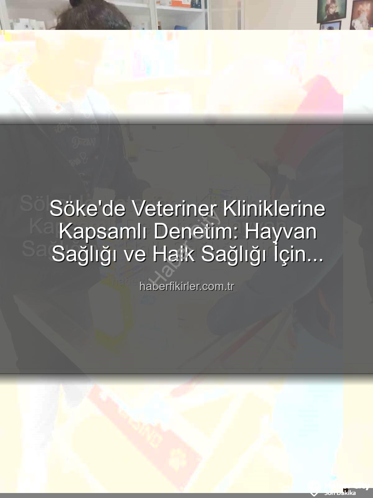 Söke veteriner klinikleri - Söke'de Hayvan Sağlığına Kritik Denetim: Özel Veteriner Klinikleri İncelendi
