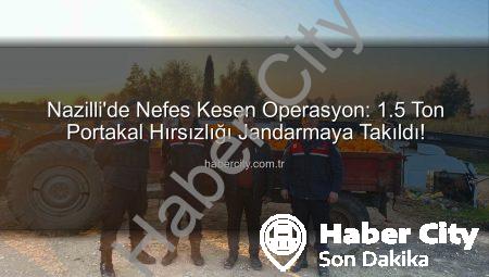 Nazilli’de Nefes Kesen Operasyon: 1.5 Ton Portakal Hırsızlığı Jandarmaya Takıldı!