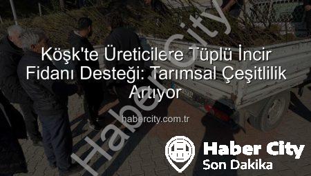Köşk’te Üreticilere Tüplü İncir Fidanı Desteği: Tarımsal Çeşitlilik Artıyor
