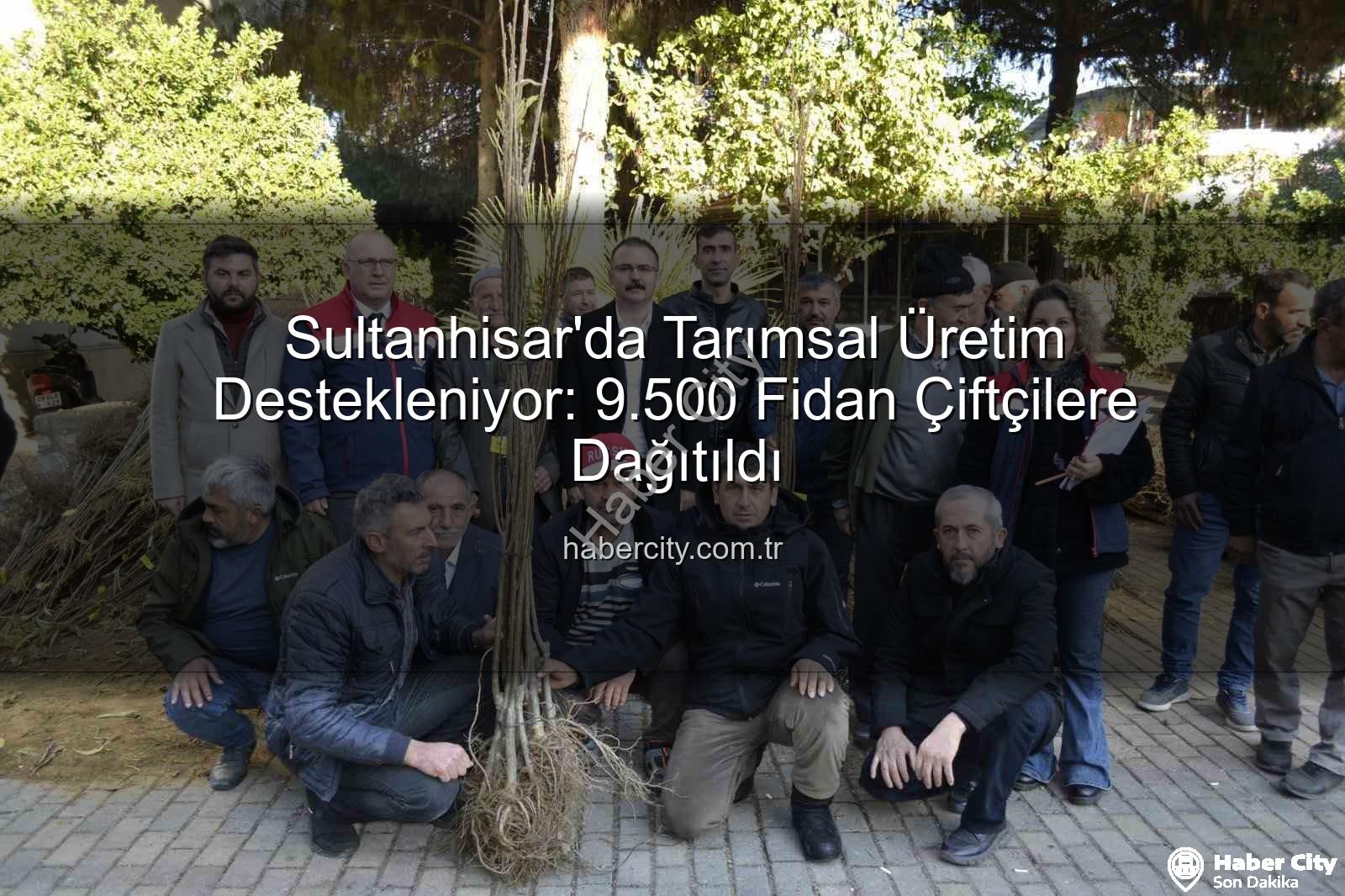 Sultanhisar fidan dağıtımı - Sultanhisar'da Tarımsal Üretim Destekleniyor: 9.500 Fidan Çiftçilere Dağıtıldı