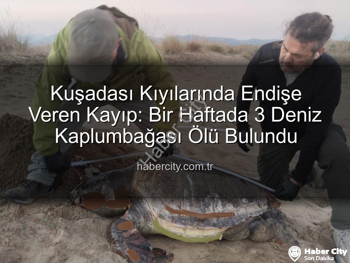 deniz kaplumbağası ölümleri - Kuşadası Kıyılarında Endişe Veren Kayıp: Bir Haftada 3 Deniz Kaplumbağası Ölü Bulundu