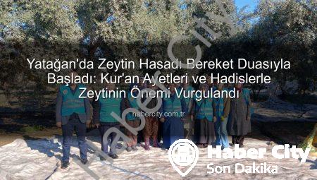 Yatağan’da Zeytin Hasadı Bereket Duasıyla Başladı: Kur’an Ayetleri ve Hadislerle Zeytinin Önemi Vurgulandı