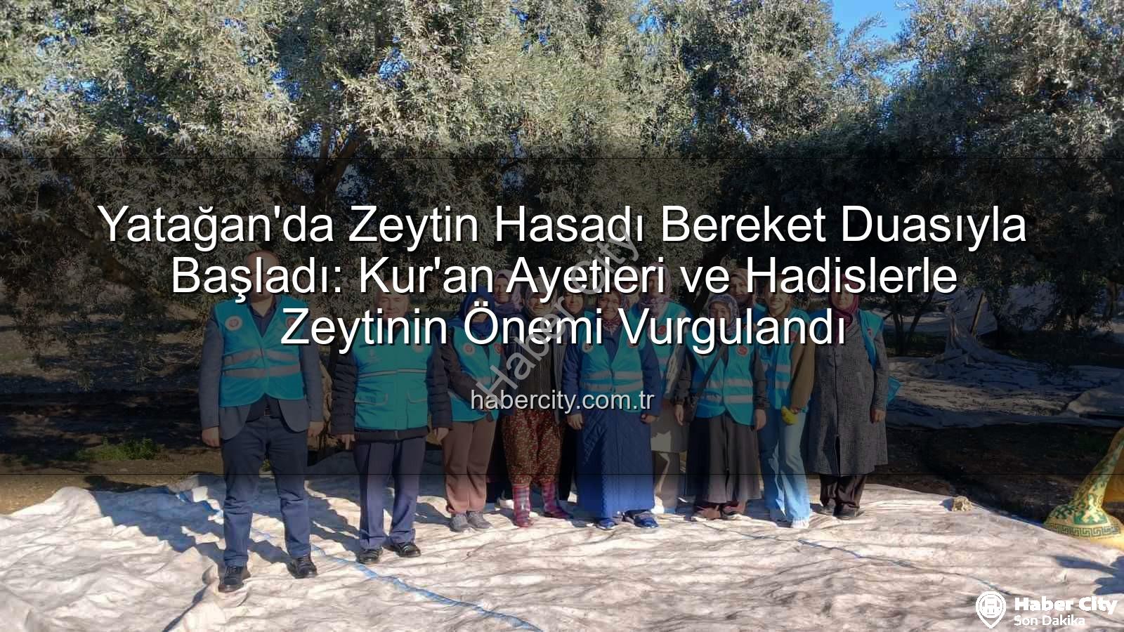 Yatağan zeytin hasadı - Yatağan'da Zeytin Hasadı Bereket Duasıyla Başladı: Kur'an Ayetleri ve Hadislerle Zeytinin Önemi Vurgulandı