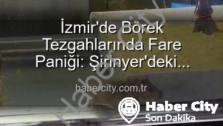 İzmir’de Börek Tezgahlarında Fare Paniği: Şirinyer’deki İşletmeye Mühür Vuruldu