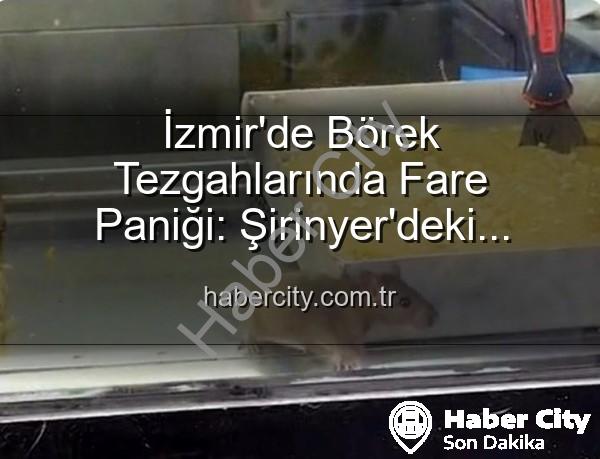 İzmir börekçi fare - İzmir'de Börek Tezgahlarında Fare Paniği: Şirinyer'deki İşletmeye Mühür Vuruldu