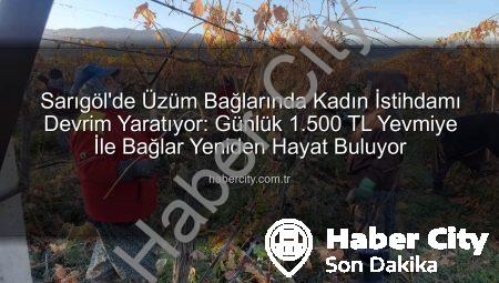 Sarıgöl’de Üzüm Bağlarında Kadın İstihdamı Devrim Yaratıyor: Günlük 1.500 TL Yevmiye İle Bağlar Yeniden Hayat Buluyor
