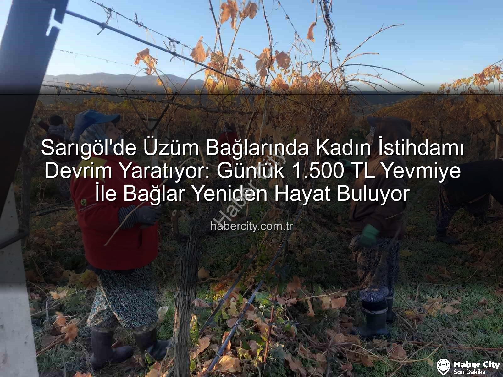 kadın istihdamı - Sarıgöl'de Üzüm Bağlarında Kadın İstihdamı Devrim Yaratıyor: Günlük 1.500 TL Yevmiye İle Bağlar Yeniden Hayat Buluyor