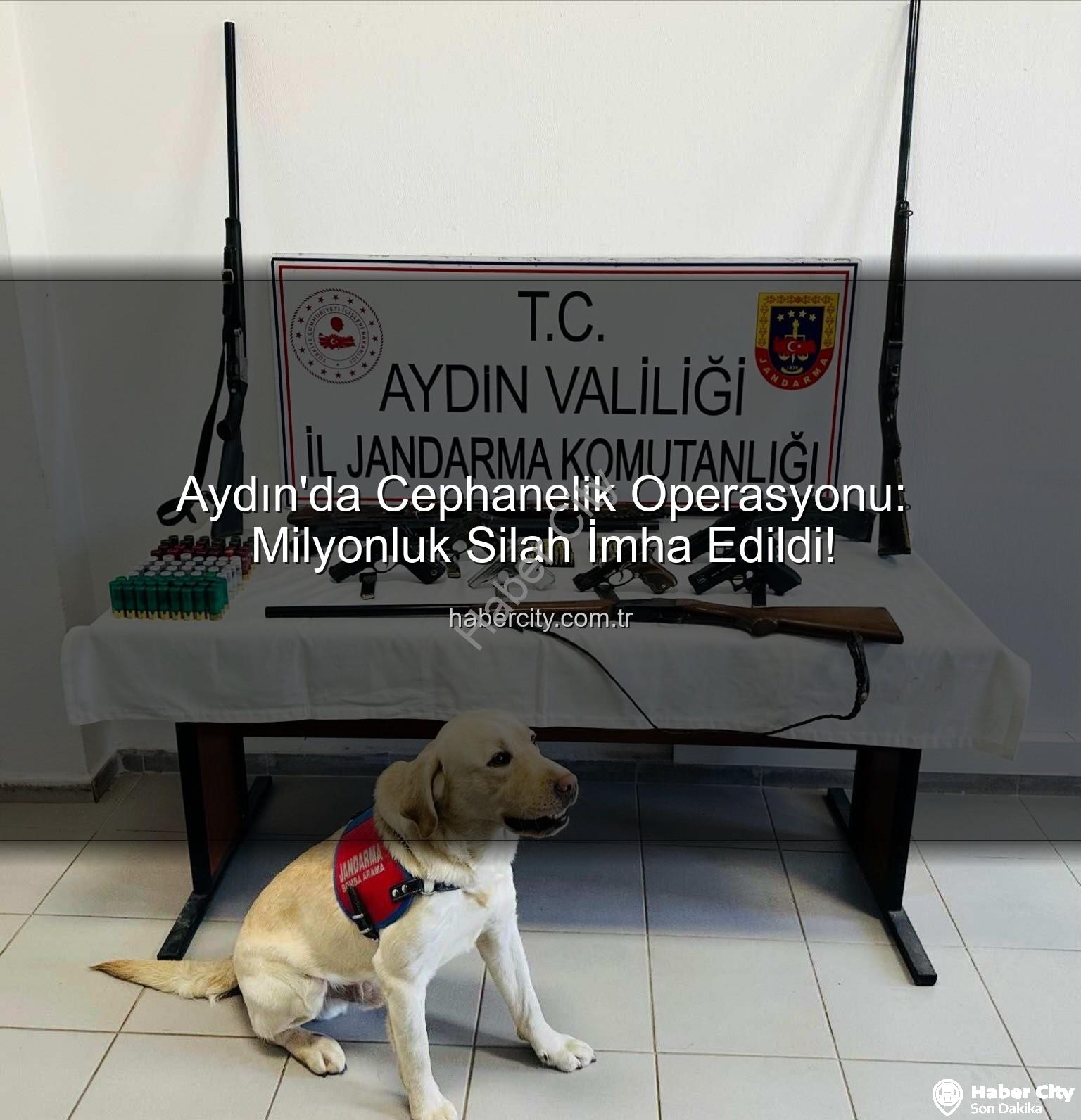 Aydın silah operasyonu - Aydın'da Cephanelik Operasyonu: Milyonluk Silah İmha Edildi!