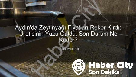 Aydın’da Zeytinyağı Fiyatları Rekor Kırdı: Üreticinin Yüzü Güldü, Son Durum Ne Kadar?