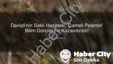 Denizli’nin Saklı Hazinesi: ‘Çameli Pelemiri’ Bilim Dünyasına Kazandırıldı!