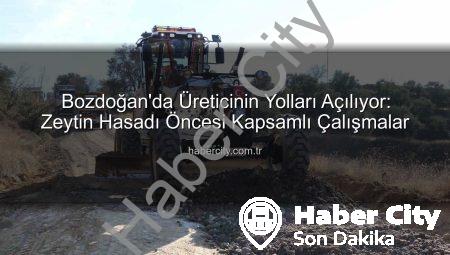 Bozdoğan’da Üreticinin Yolları Açılıyor: Zeytin Hasadı Öncesi Kapsamlı Çalışmalar