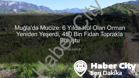 Muğla’da Mucize: 6 Yılda Kül Olan Orman Yeniden Yeşerdi, 450 Bin Fidan Toprakla Buluştu