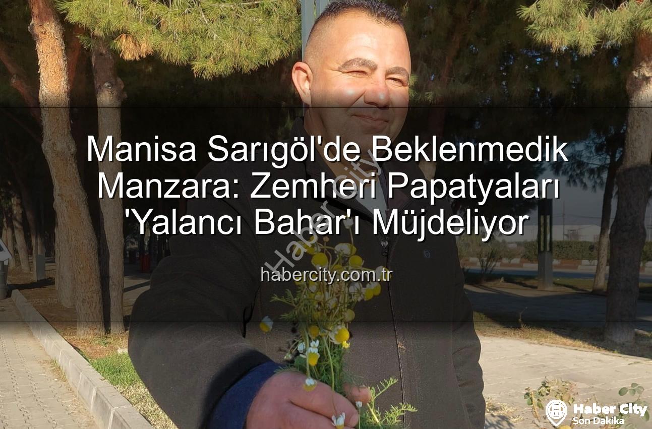 zemheri papatyaları - Manisa Sarıgöl'de Beklenmedik Manzara: Zemheri Papatyaları 'Yalancı Bahar'ı Müjdeliyor